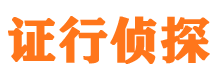 田东市调查公司